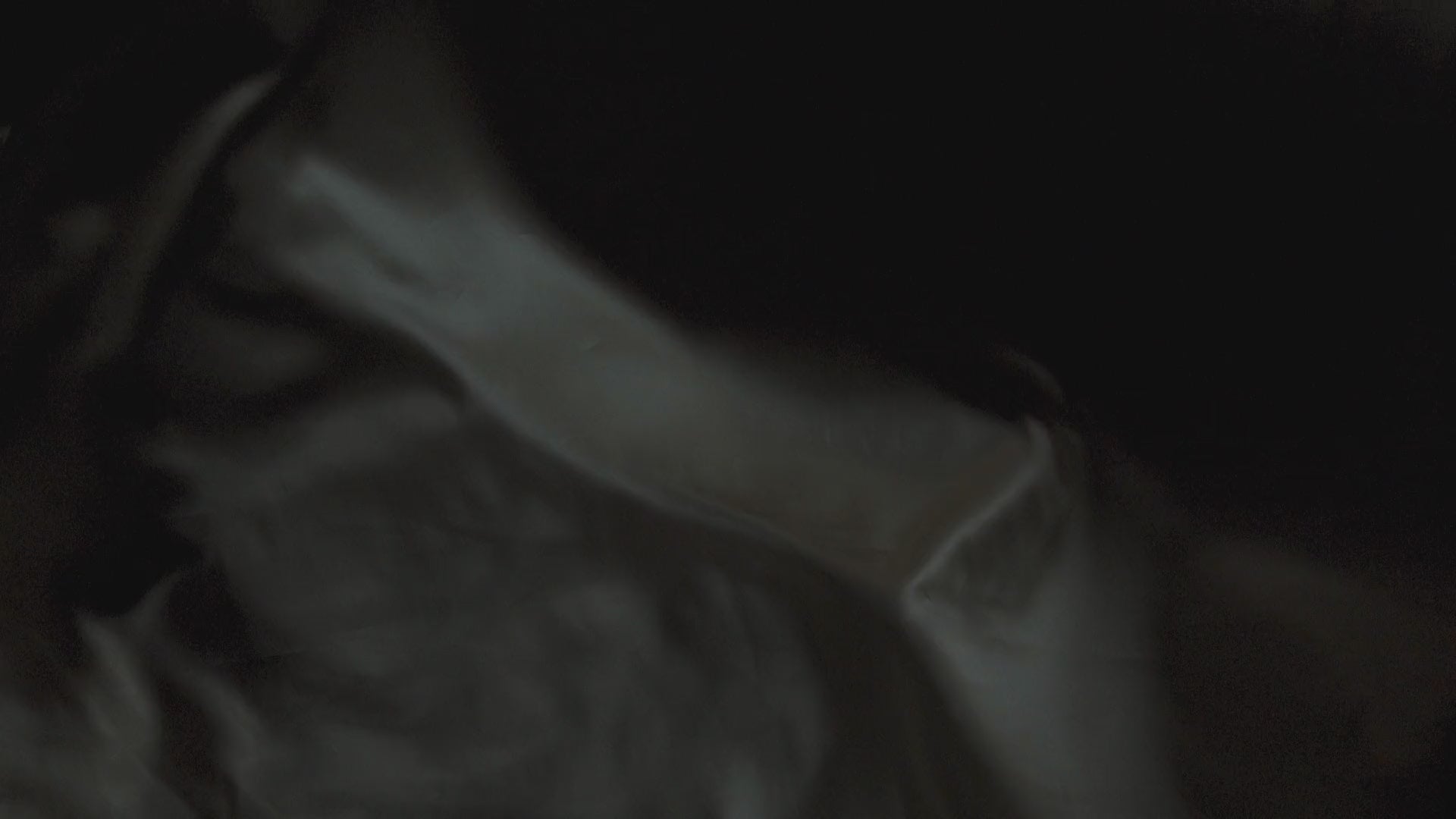 shut up and smell. just be wild and free. by OneNightScent